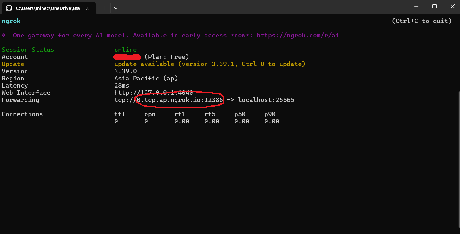 การใส่ IP ในเกม